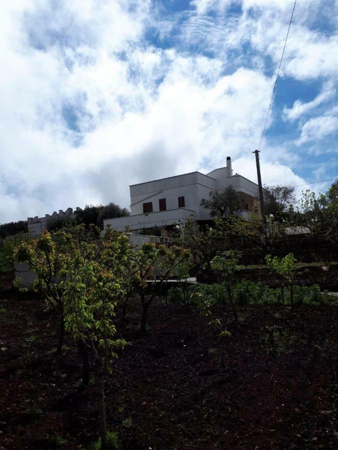 Villa Lilla Остуни Экстерьер фото